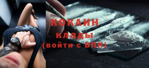 Альфа ПВП Горняк