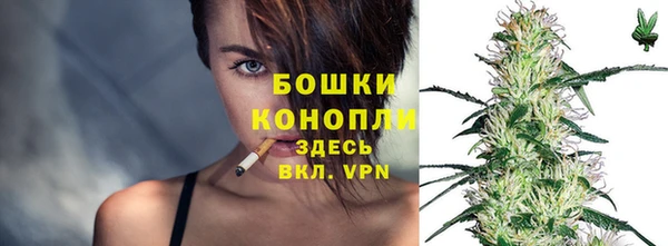 spice Гусиноозёрск