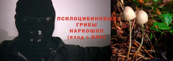 mix Гусь-Хрустальный