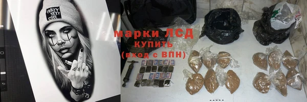 мяу мяу мука Гусев