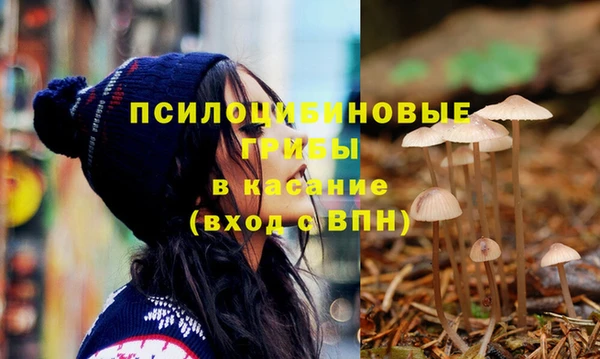 mix Гусь-Хрустальный