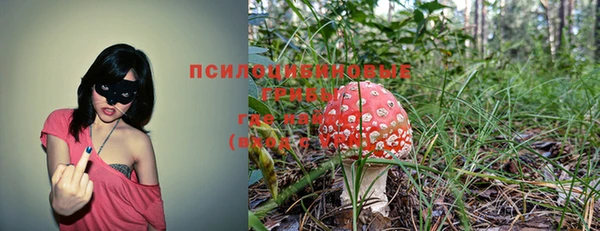 mix Гусь-Хрустальный